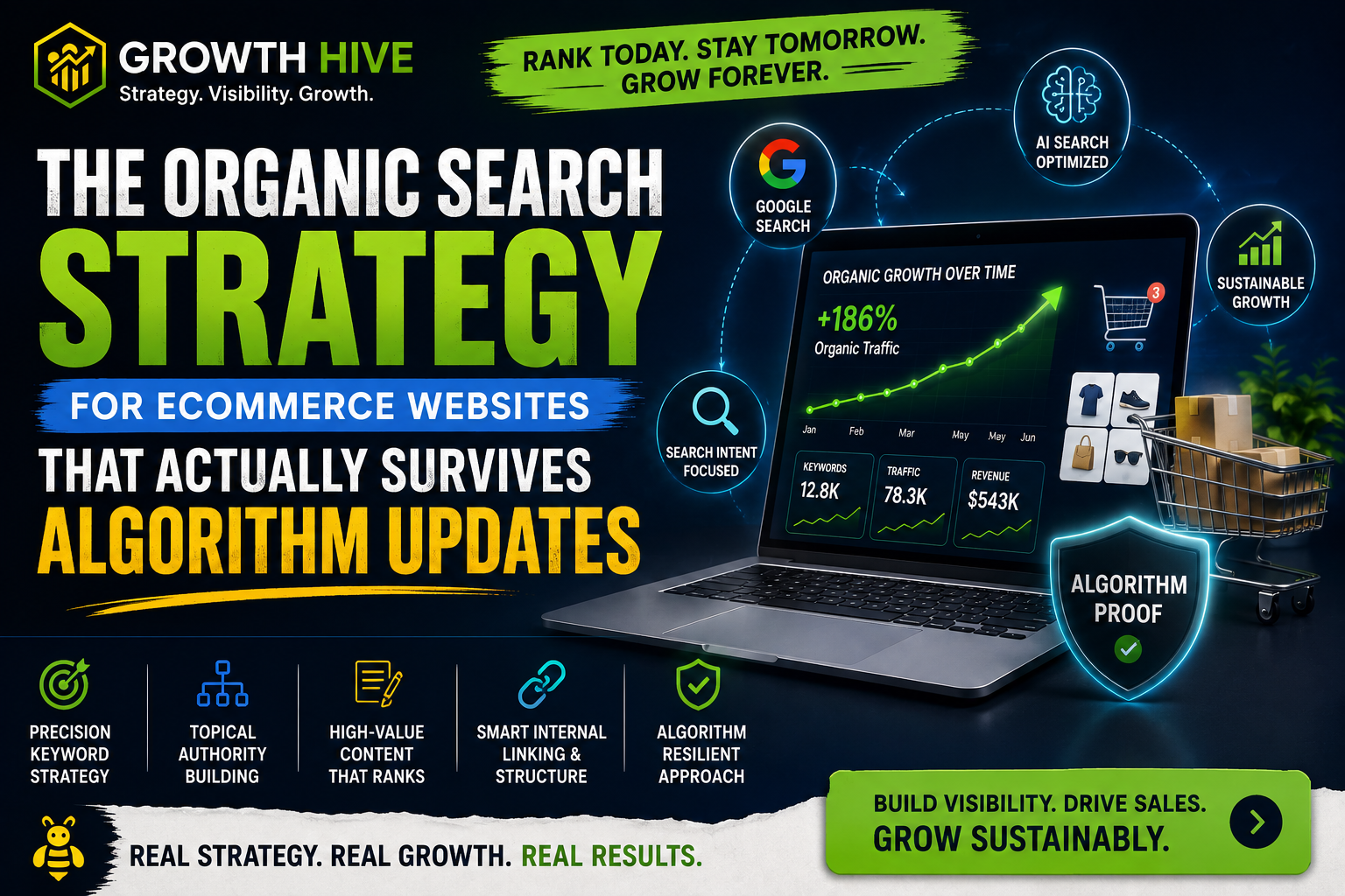 Organic Search Strategy for Ecommerce Websites